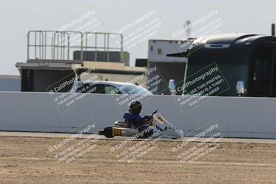 media/Mar-29-2025-Pro Autosports (Sat) [[89b1c017ad]]/6-Purple Group/Main Race/